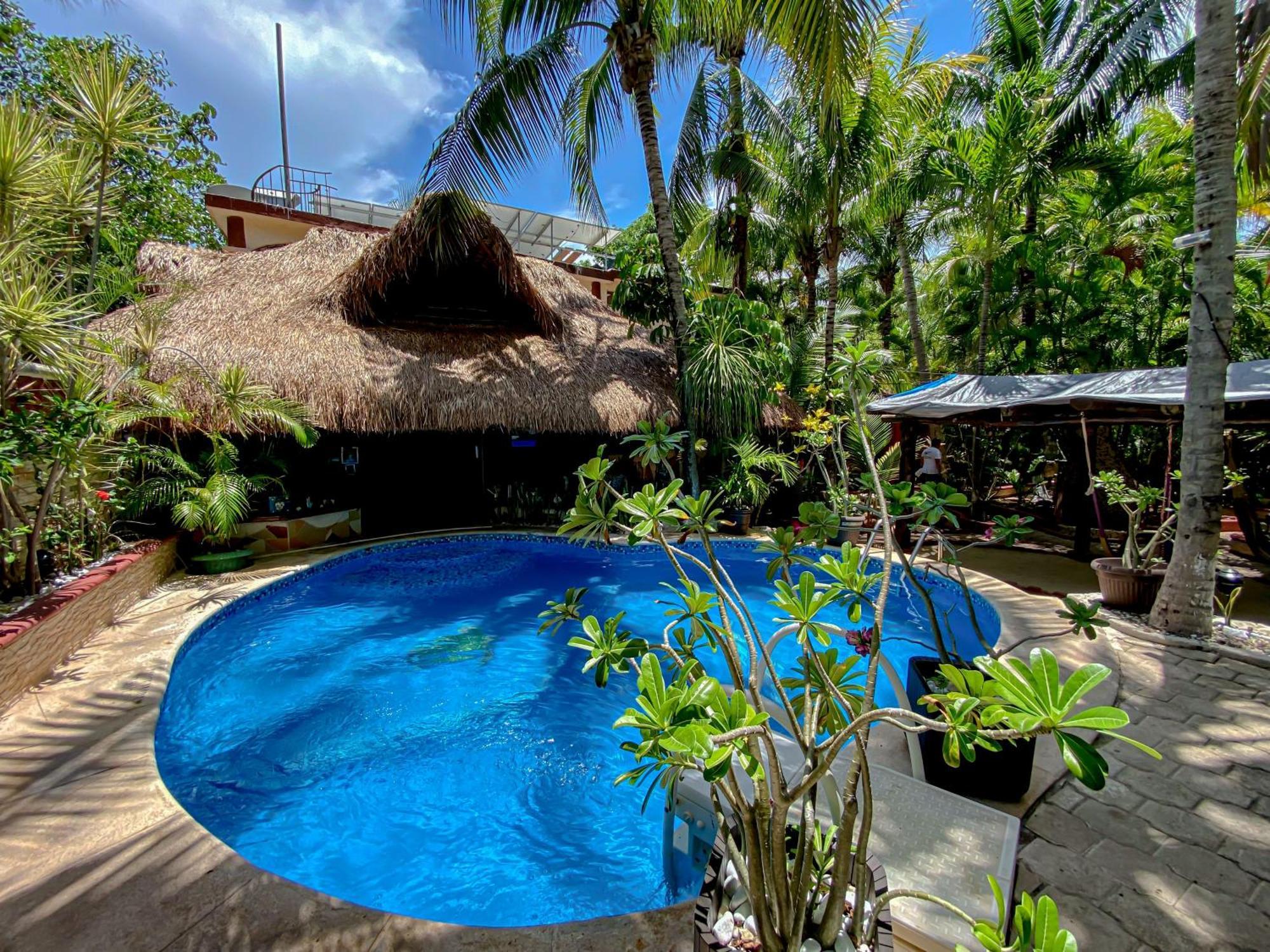 Cocos Cabanas Playa Del Carmen Adults Only Exteriér fotografie
