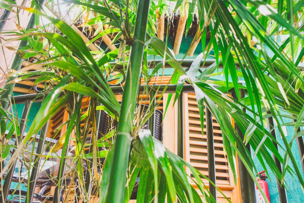 Cocos Cabanas Playa Del Carmen Adults Only Exteriér fotografie