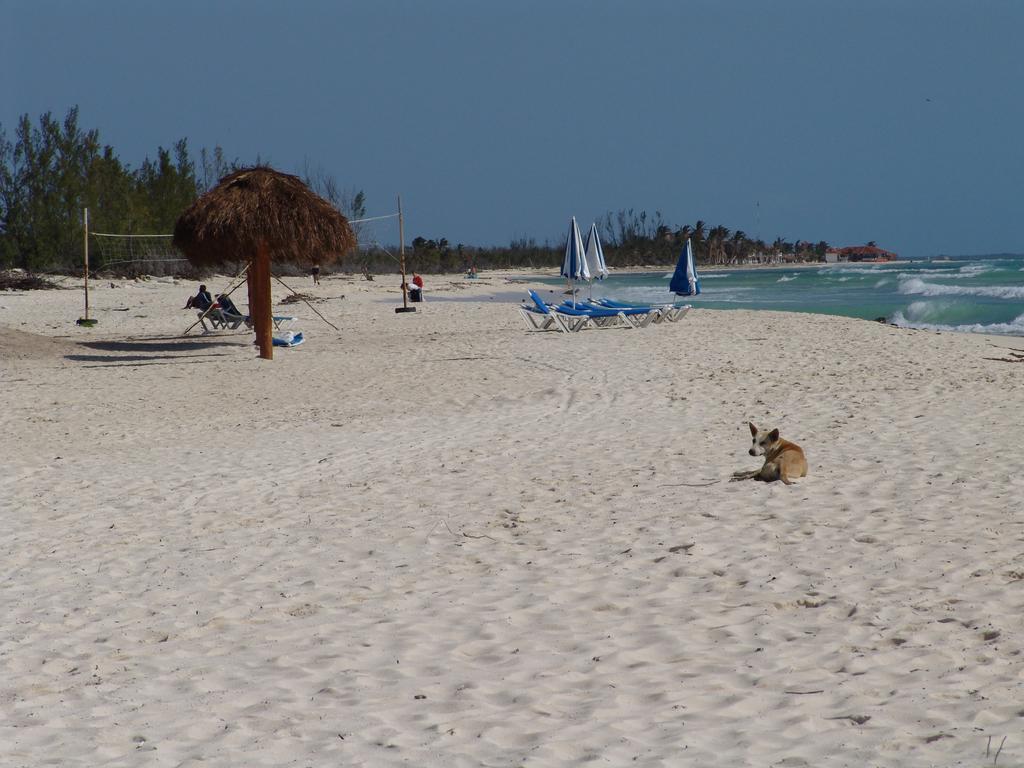 Cocos Cabanas Playa Del Carmen Adults Only Exteriér fotografie